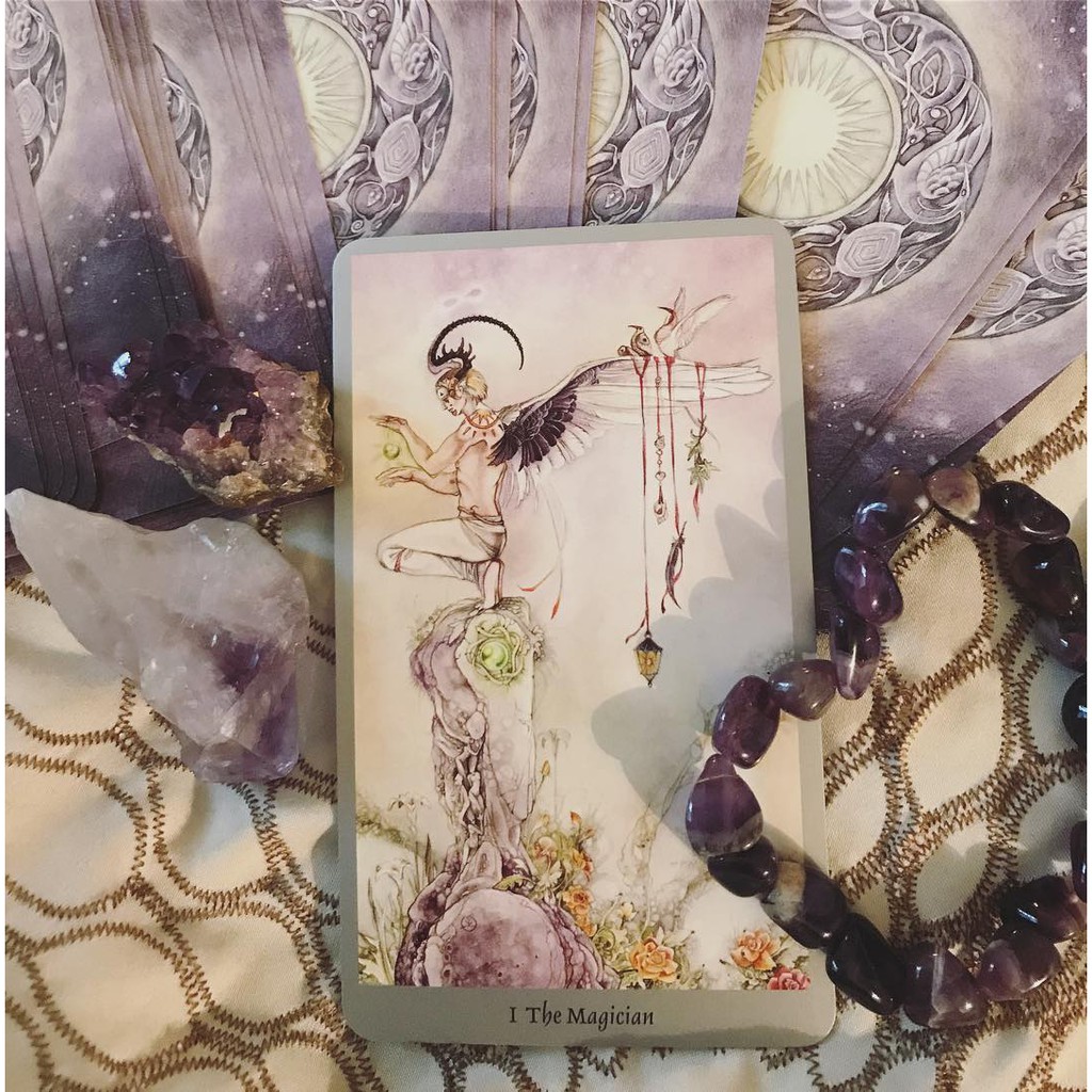 Bộ Bài Shadowscapes Tarot – Bookset Edition (Mystic House Tarot Shop)