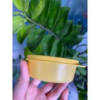 Hộp snack cup / bowl over Tupperware