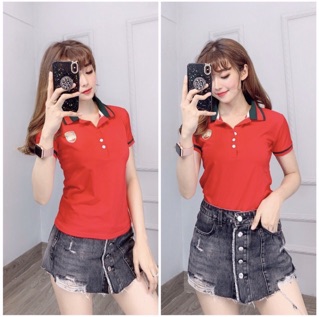 Áo thun thái cổ bẻ