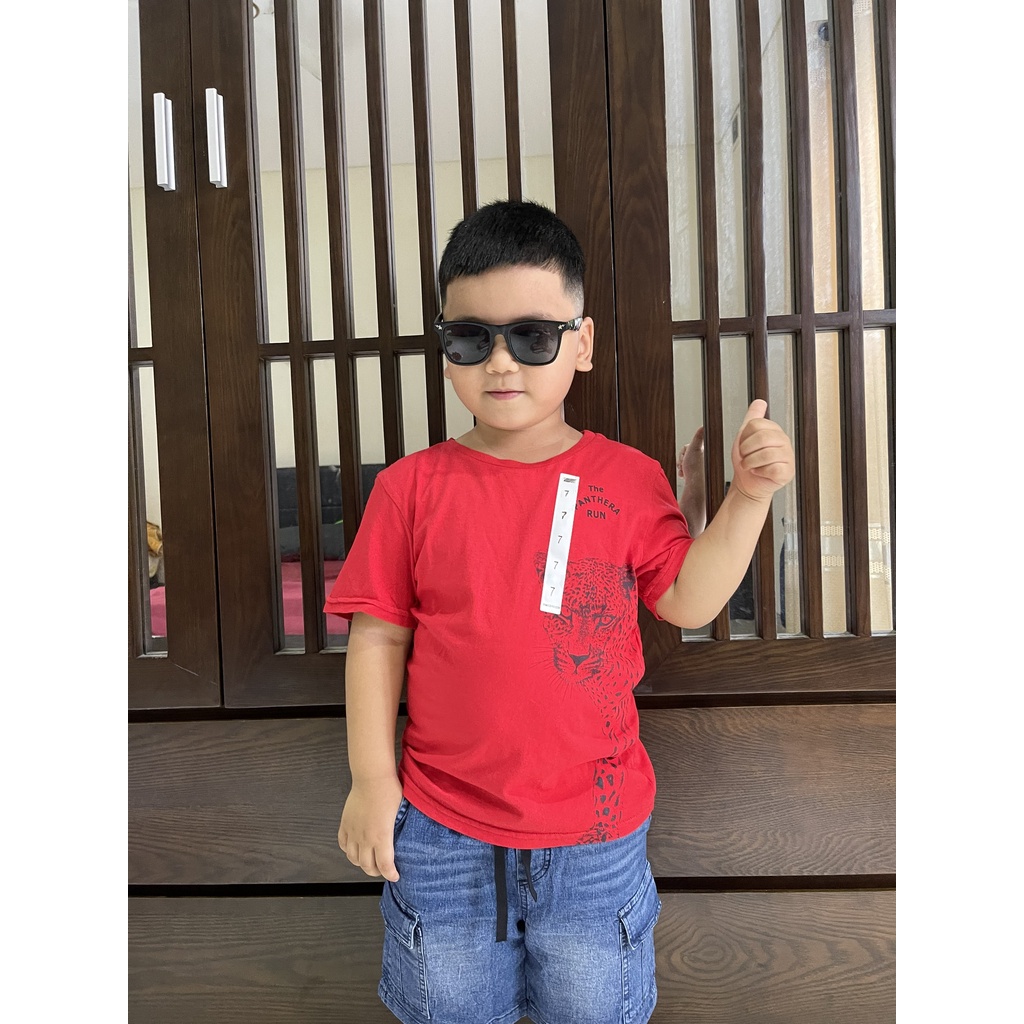 Áo thun phông bé trai ZARA xuất dư cộc tay Dragon Kids