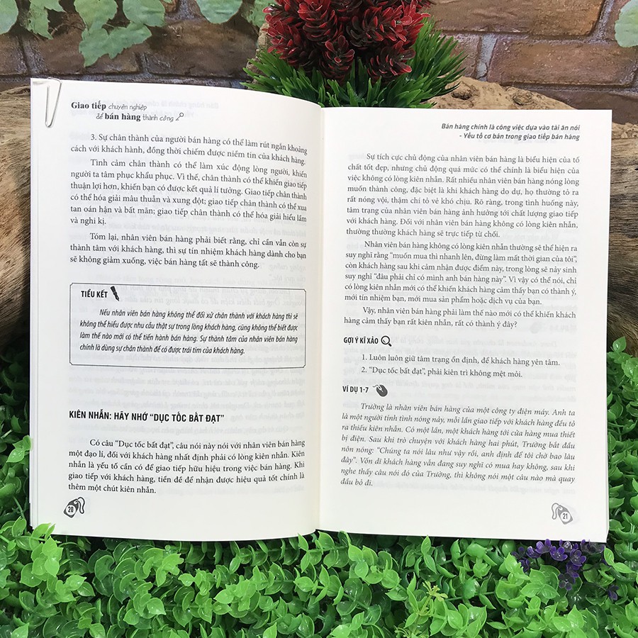 Sách - Giao Tiếp Chuyên Nghiệp Để Bán Hàng Thành Công | BigBuy360 - bigbuy360.vn