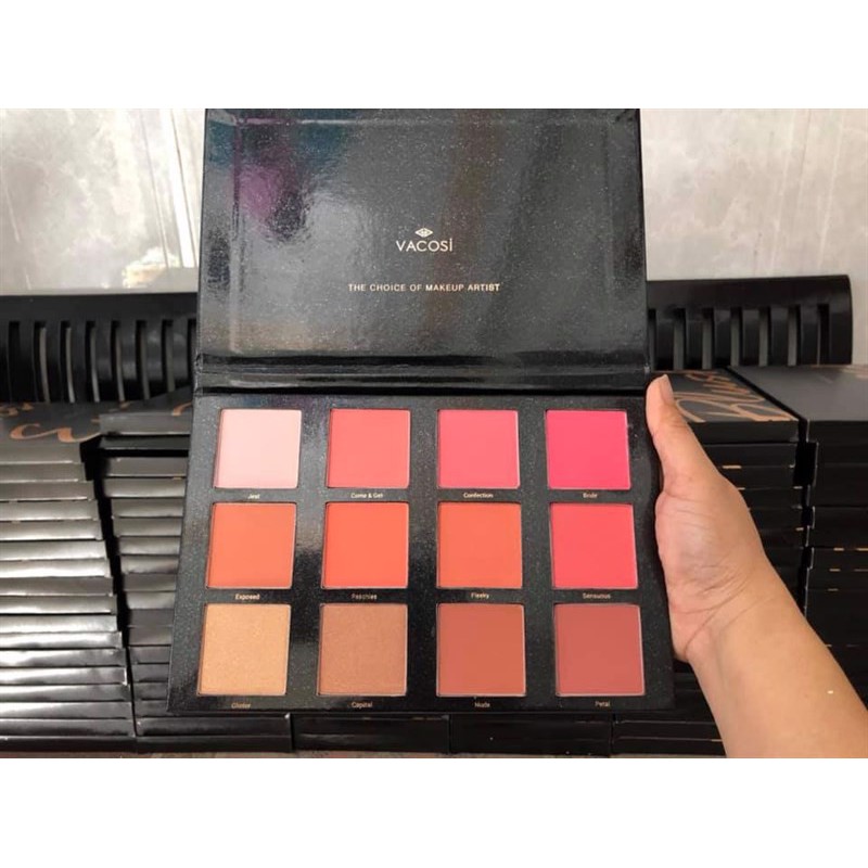 BẢNG MÁ HỒNG CHUYÊN NGHIỆP 12 Ô VACOSI PRO STUDIO BLUSH PALETTE – 66BP BLUSH – VPL02