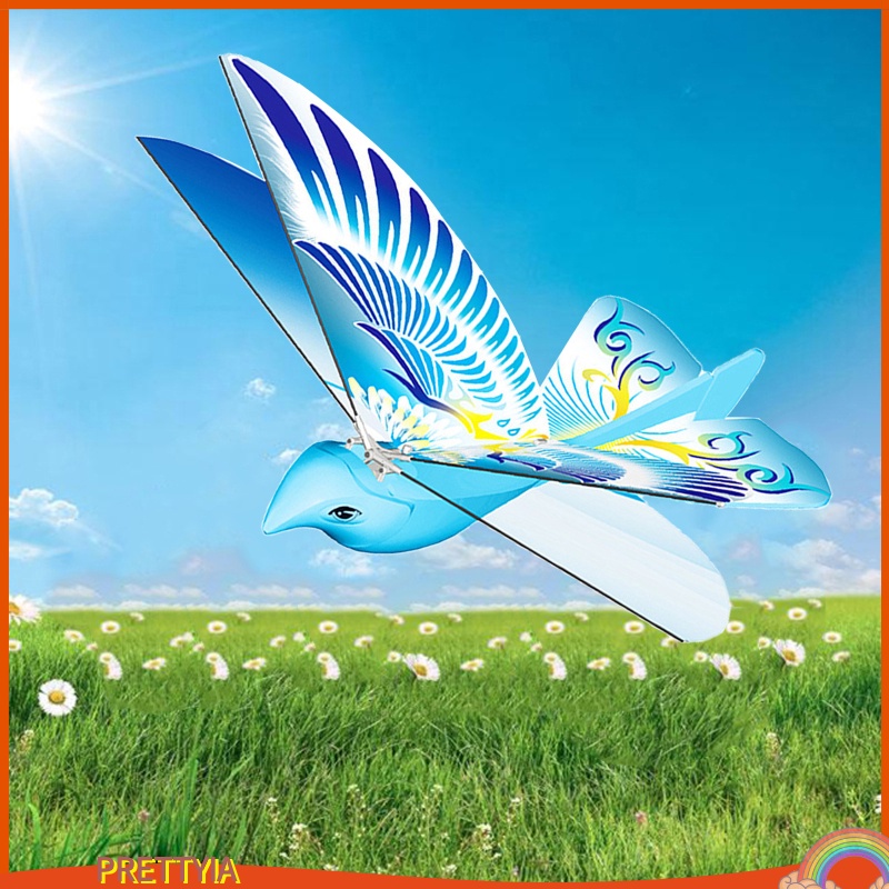 Chim Bồ Câu Bay Điều Khiển Từ Xa