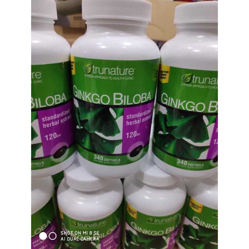 Bổ não GINKO BILOBA NHẬP MỸ 340V | BigBuy360 - bigbuy360.vn