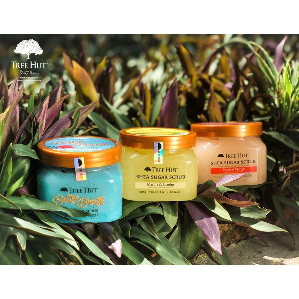 Tẩy Tế Bào Chết Toàn Thân TREE HUT ( Nhiều Mùi ) | BigBuy360 - bigbuy360.vn