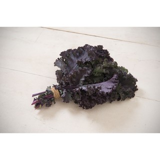 Hạt giống Kale tím Scarlet MỸ