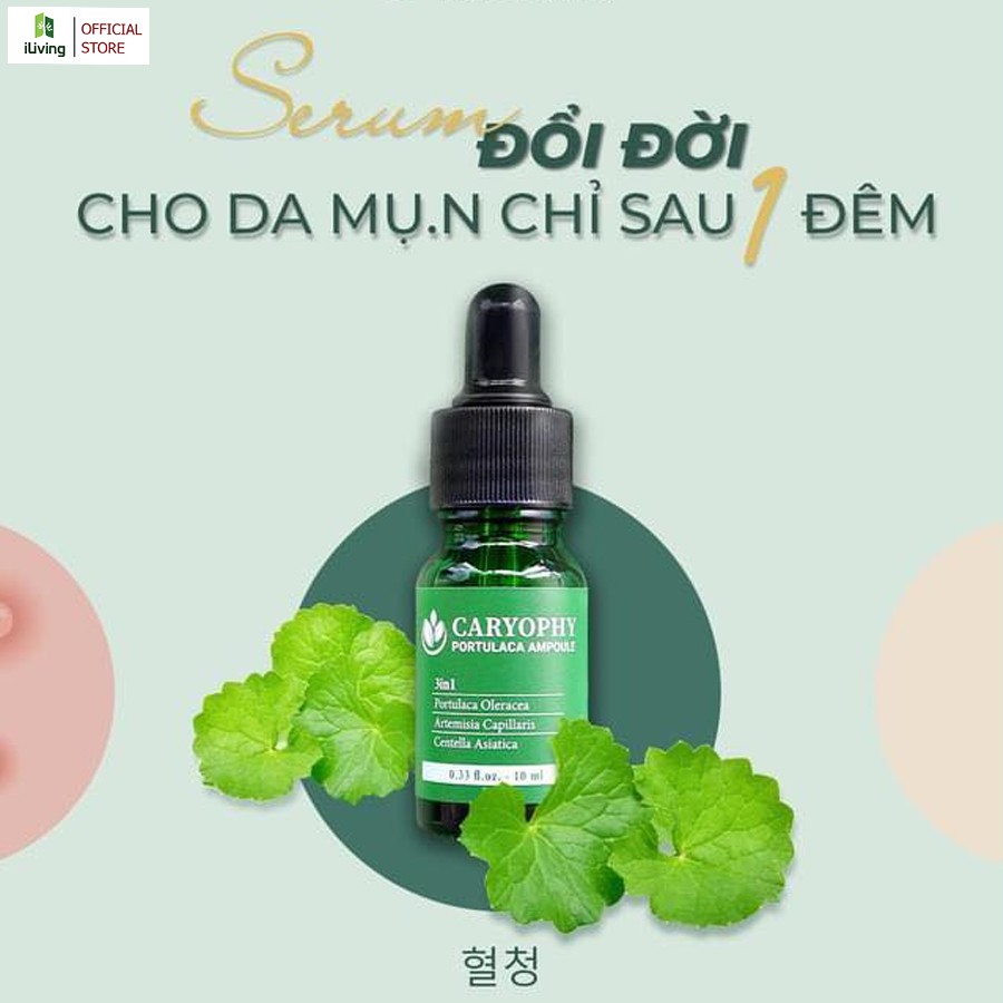 Serum giảm mụn mờ thâm se khít lỗ chân lông Caryophy 30ml và 10ml ILIVING-CARSRC | BigBuy360 - bigbuy360.vn
