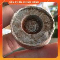 Bộ 100 viên nén ươm hạt xơ dừa hữu cơ trồng rau, dâu tây, thủy canh