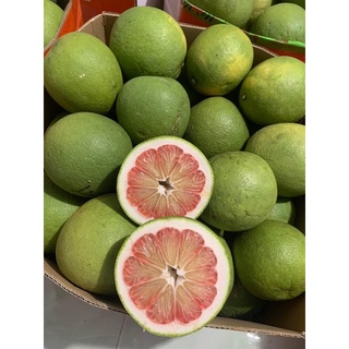 2 trái bưởi Lão da xanh Bến Tre từ 1kg - 1,2kg ( giao siêu tốc Tphcm)