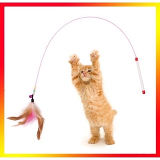 cần cầu đồ chơi mèo