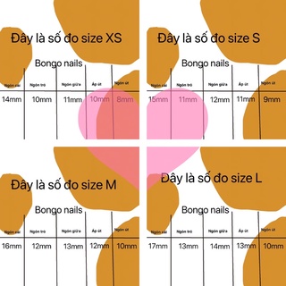 nails box móng úp kết hợp sơn đầu móng