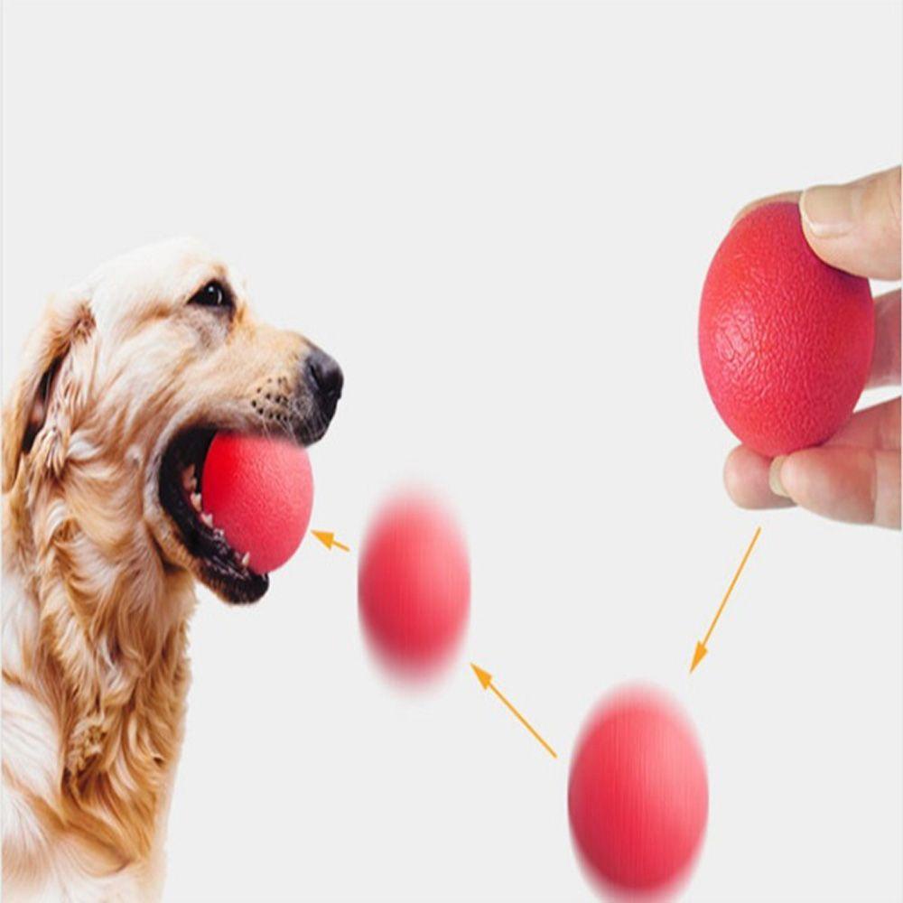 Quả Bóng Cao Su Không Độc Hại Huấn Luyện Thú Cưng