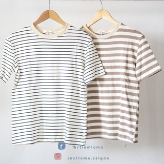 Áo phông kẻ sọc freesize