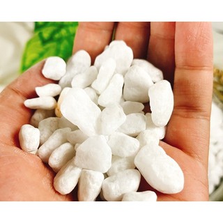 (SÂN VƯỜN) SỎI TRẮNG TRANG TRÍ 500 GR, có nhiều cỡ sỏi