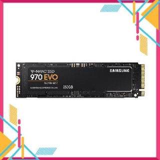 Ổ cứng SSD Samsung 970 EVO NVMe 2280 250GB