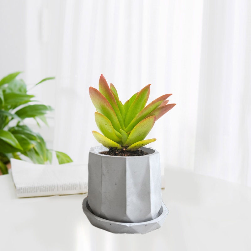 Khuôn Silicone Làm Chậu Hoa Hình Lục Giác