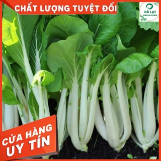 🌱HẠT GIỐNG CẢI BẸ TRẮNG_20GR(TỈ LỆ NẢY MẦM CAO)🌱