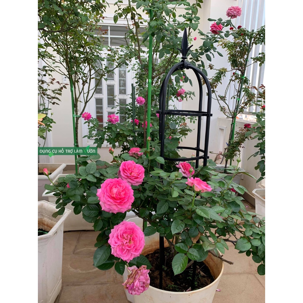 Khung trồng hồng leo, giá đỡ hoa hồng Cao 120cm, khung tháp chuông, khung lồng chim