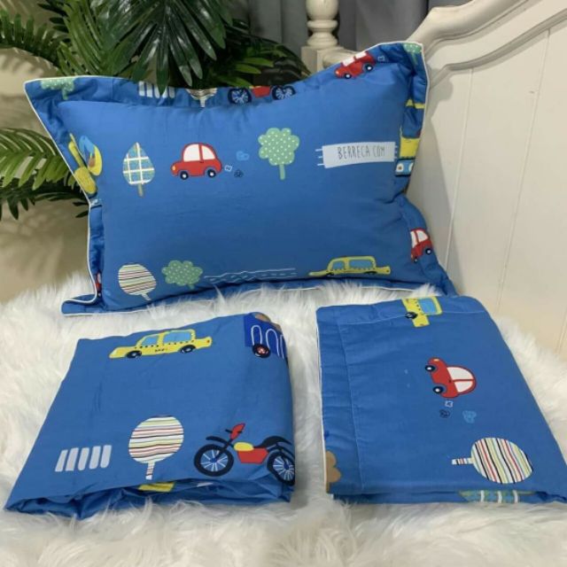 Bộ ga gối cotton 1m6