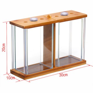 Bể cá mini để bàn bể cá Betta đôi
