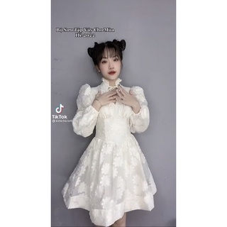 ĐẦM HOA NỔI CỔ ĐỨNG SIÊU HACK EO(14clothinggg)