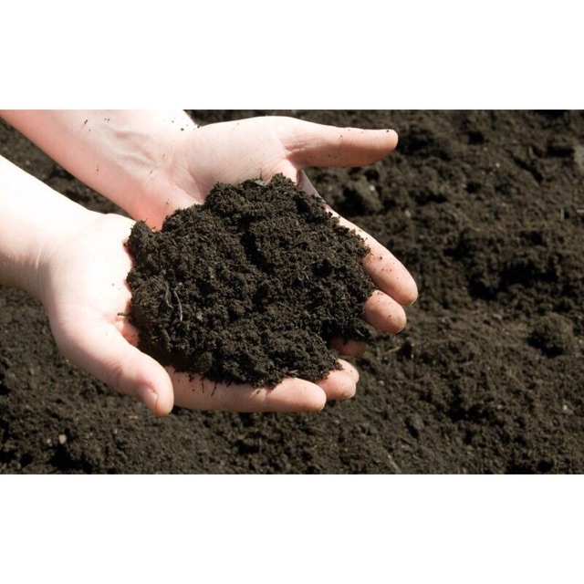 Đất sạch trồng cây 6.5dm3 nhiều dinh duong, Sạch Mầm Bệnh - Đất Sạch Trồng Kiểng/Trồng Rau (túi =2.7kg)