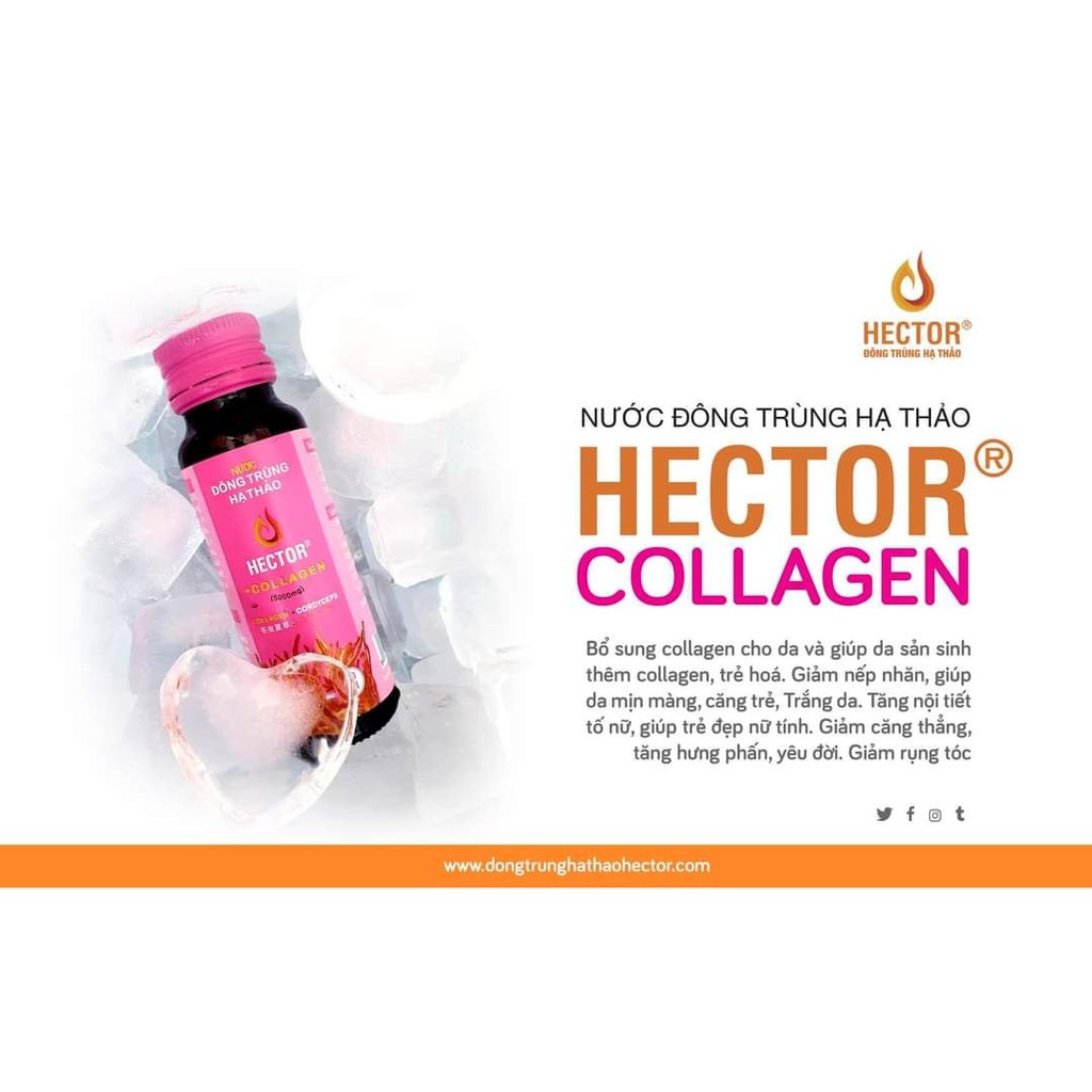 NƯỚC UỐNG COLLAGEN ĐÔNG TRÙNG HẠ THẢO HECTOR ĐẸP DA - HỘP 10 CHAI 50ML