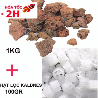 Combo ĐÁ NHAM THẠCH (1kg) + Hạt Kaldnes vật liệu lọc nước hồ cá, bể cá cảnh (100gr)