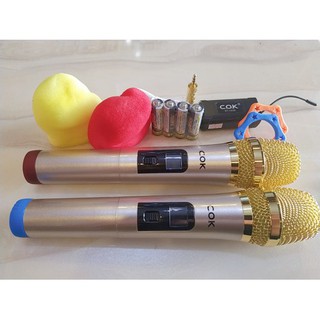 Bộ 2 micro không dây COK ST-123