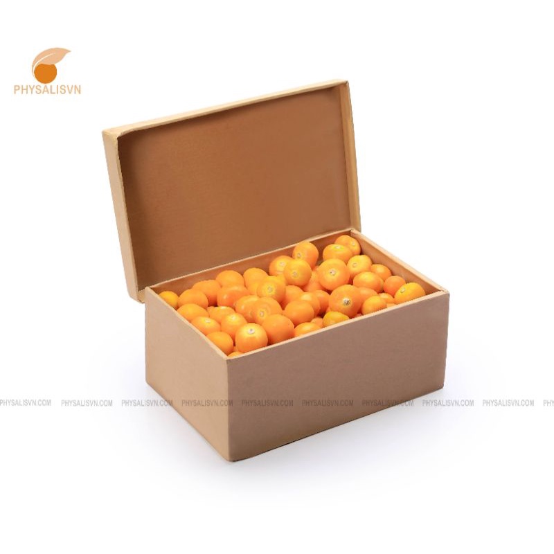 Trái Tầm Bóp-Thù Lù Nam Mỹ  1000g