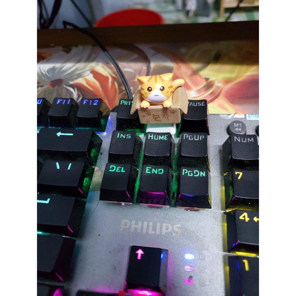 Phím Máy Tính Keycap Mèo Lẻ Trong Hộp Siêu Cute | BigBuy360 - bigbuy360.vn