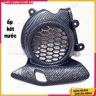 Bộ Ốp Carbon Vision 2021-22 ( Giá Lẻ Từng Món)