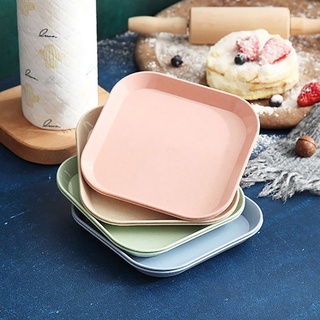Đĩa Nhựa Lúa Mạch Tone Màu Pastel