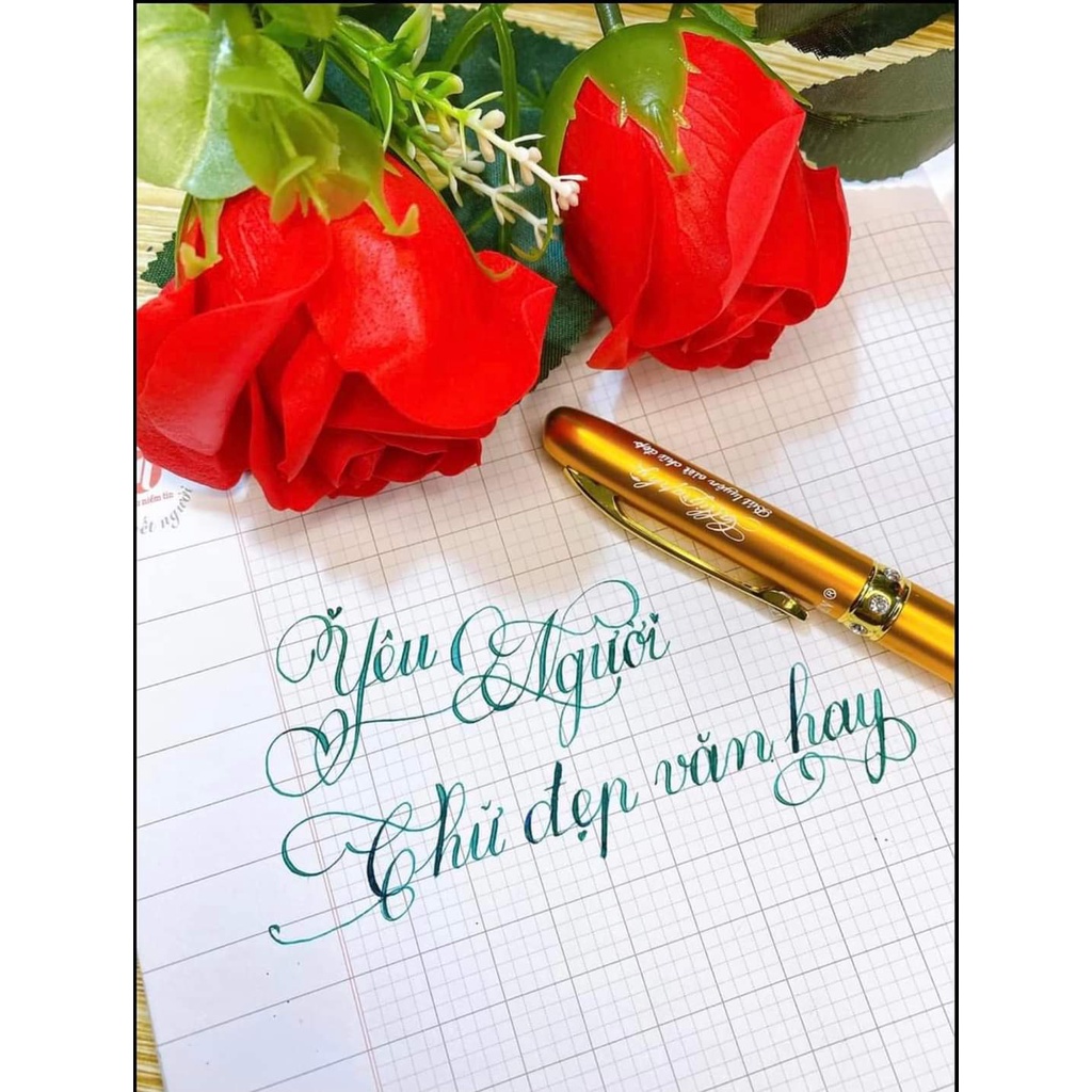 Bút máy Calligraphy 862 ngòi lá tre siêu bền I Bút mực viết luyện chữ đẹp cho học sinh tiểu học