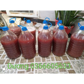 Vi khuẩn quang hợp psb ( chai 5l)
