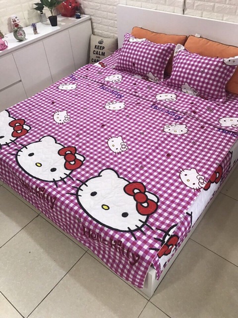 Bộ chăn ga gối trần bông cotton poly