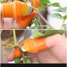 Bộ sản phẩm Móng tay bấm ngọn, bấm mầm cây, hái rau, bóc tỏi v.v. làm vườn chuyên dụng