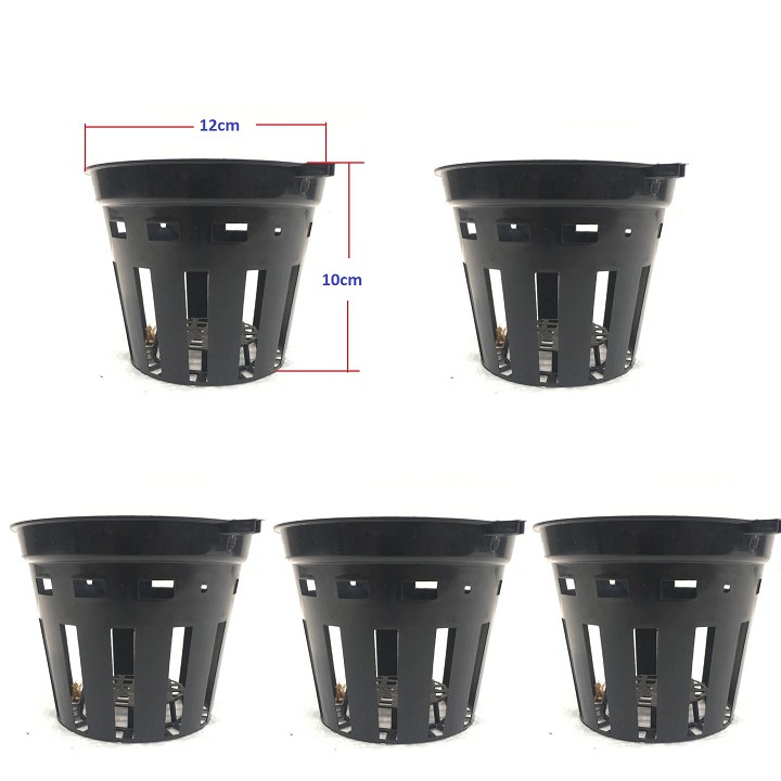 Set 5 chậu nhựa trồng lan số 1 đường kính 12cm cao 10cm