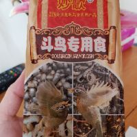 Cám chim Họa Mi hót
