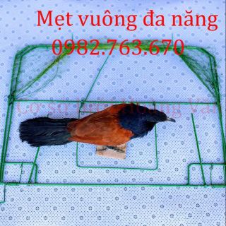 Combo mẹt vuông + bịp mồi giả 380k