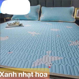 [ SALE SỐC RẺ VÔ ĐỊCH] CHIẾU ĐIỀU HOÀ TENCEL MỦ CAO SU NON