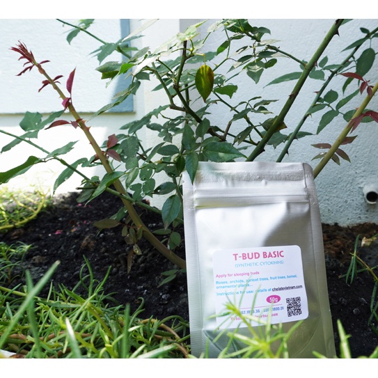 T-BUD BASIC cytokinin synthetic  gói 25g
