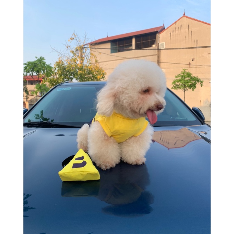 BỘ ÁO VÀ TÚI ĐEO COSPLAY SHIPPER BE CHO THÚ CƯNG - SP005376