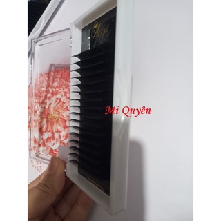 Mi cong LD (Khay lẻ, mix size)