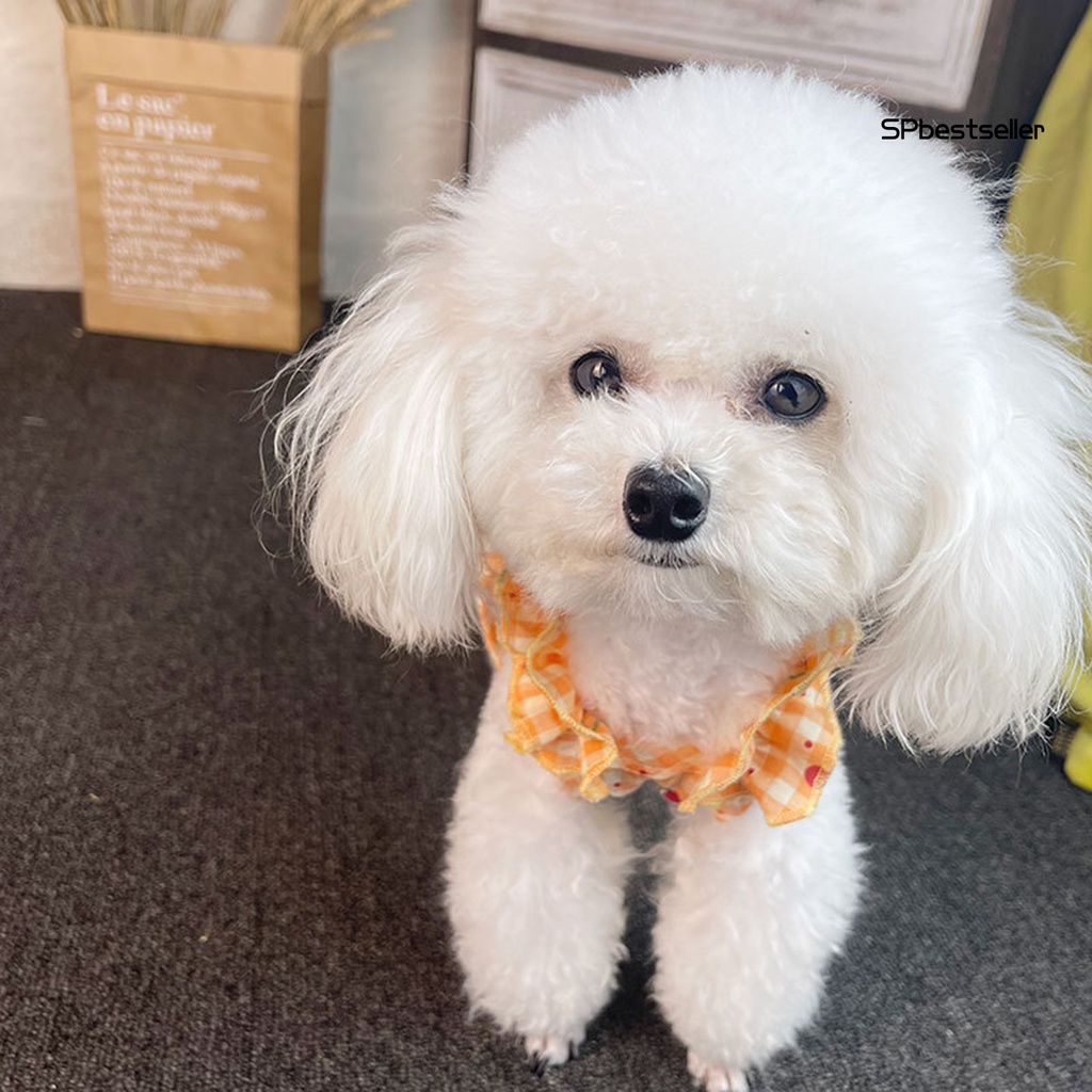 Áo thun cotton in họa tiết trái cây hai chân phối bèo thời trang mùa hè cho thú cưng