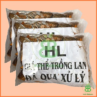 Xơ Dừa Miếng Trồng Lan