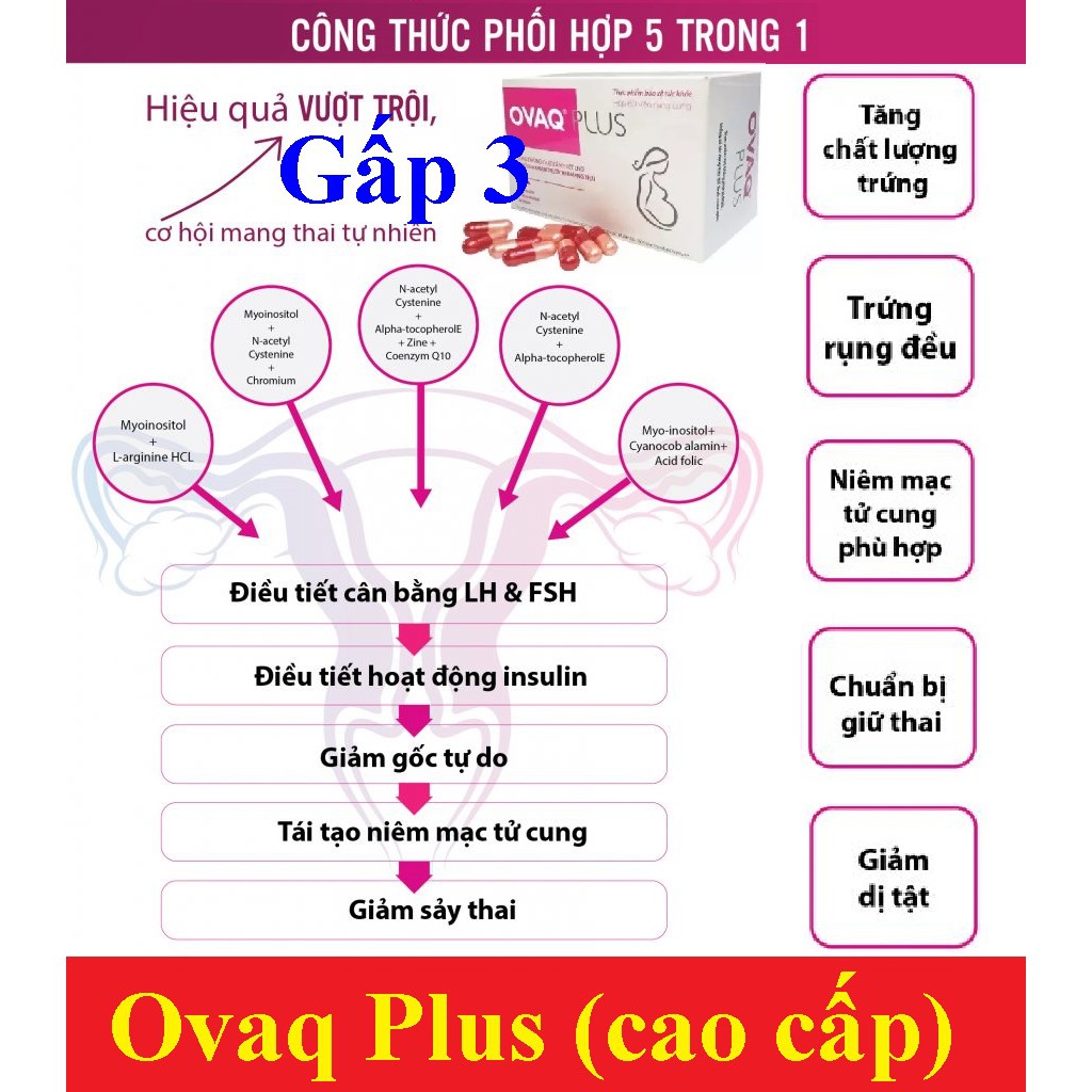 Ovaq Plus hộp 60 viên [ovaq1 thế hệ mới]