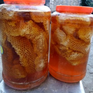 1kg Mật ong nguyên sáp đặc sản của quê hương Bắc Giang