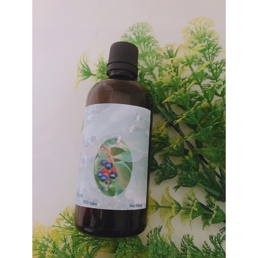 Tinh dầu Thơm xông phòng hương gỗ Xá Xị lọ 50ml