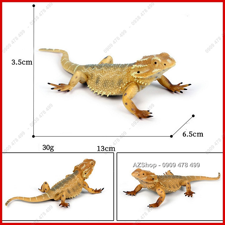 Mô Hình Bò Sát Thằn Lằn Chameleon - Lizzard - Động Vật Size Nhỏ - 7666.6